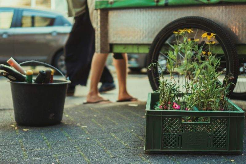 植栽設計・季節の花壇づくり